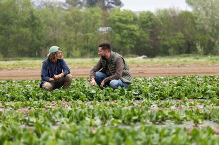 Image de deux hommes discutant dans un champ de salade. Restaurant Le Saint Hilaire. Restaurant Gastronomique Gard